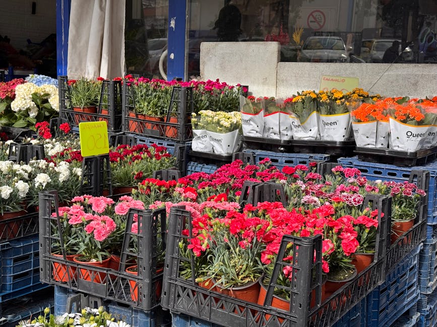 An outdoor display of potted flowers featuring vibrant pink, red, orange, and white blooms arranged in black plastic crates. The flowers include carnations and other small flowering plants with lush g